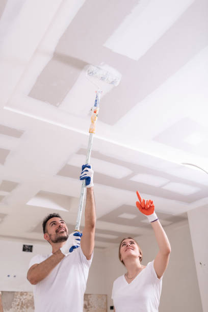 Best HVAC Mold Inspection and Cleaning  in Clksville, AR