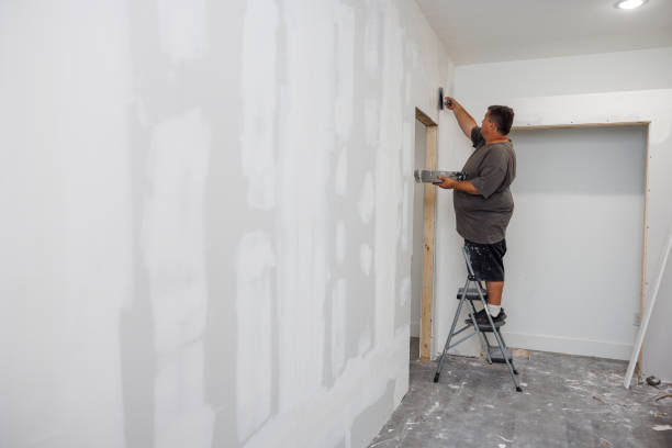 Best Emergency Mold Remediation  in Clksville, AR