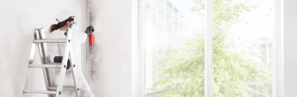 Best Asbestos and Lead Testing During Mold Inspection  in Clksville, AR