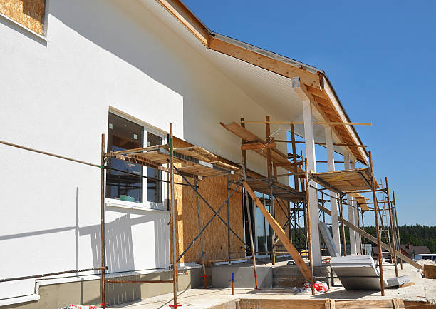Best Mold Damage Restoration  in Clksville, AR