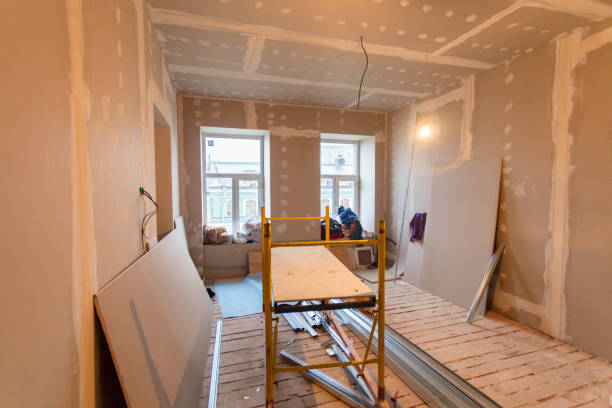 Professional Mold Removal in Clarksville, AR
